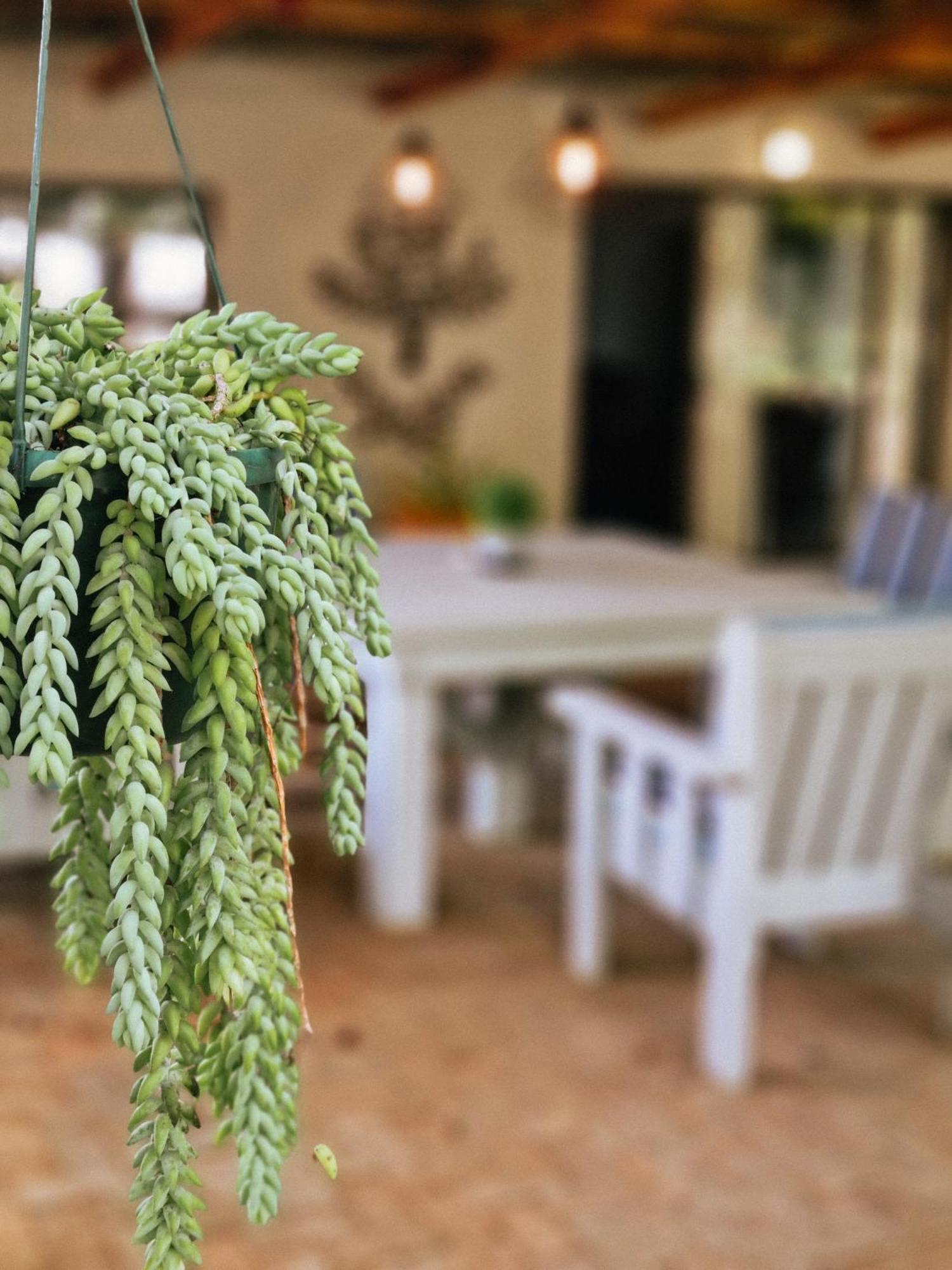Winterton Country Lodge @ Rose Cottage Экстерьер фото
